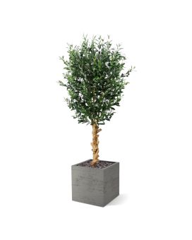Oliveira artificial de luxo 155cm