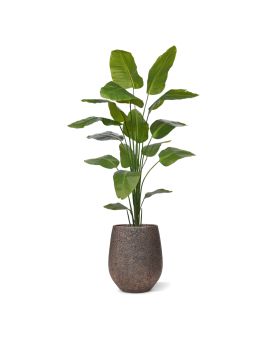 Planta artificiais Strelitzia Nicolai 210cm