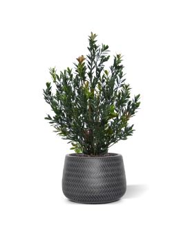 Planta de buxo artificiais 50cm verde-vermelho