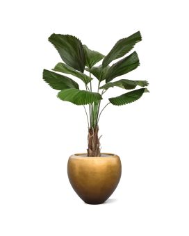 Palmeira artificial Licuala 140cm