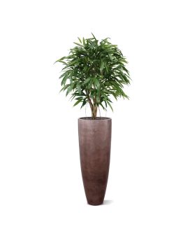 Longifolia XL árvore artificial de luxo 120cm