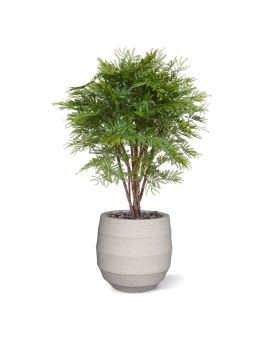 Mimosa planta artificial 110cm - resistente aos raios UV