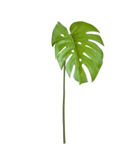 Folha de Monstera 65cm verde