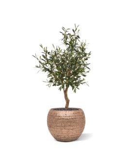 Planta de oliveira artificiais Deluxe em caule 95cm