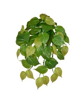 planta de suspensão artificiais Philodendron Micans RT 45cm