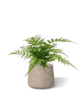 Planta artificial de Pteris Fern 30cm