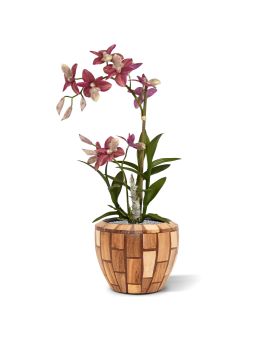 Orquídea artificial de aranha 50cm