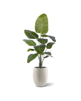 Planta artificial Strelitzia Nicolai 150cm