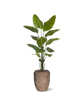 Palmeira artificiais Strelitzia Nicolai 175cm