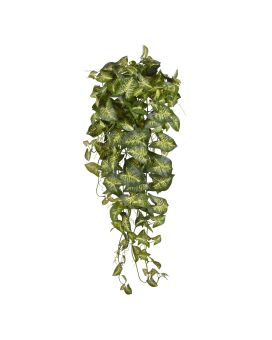 Planta de enforcamento artificial Syngonium 90cm