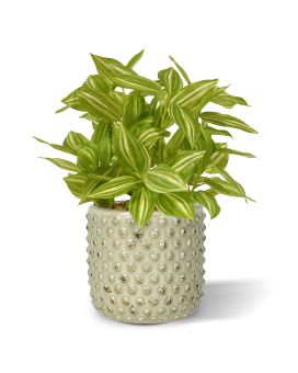 Tradescantia artificial varigada 18cm
