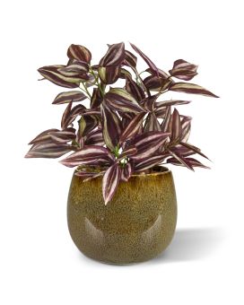 Tradescantia planta artificial 18cm - borgonha