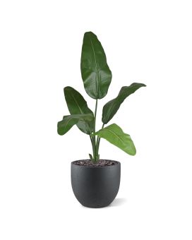 Palma artificial de viajante 100cm Retardante de fogo