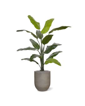 Palma artificial de viajante 130cm