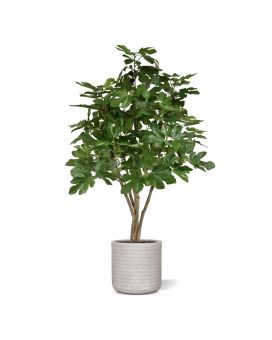 Figo árvore artificial 120cm