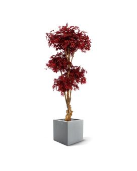 Artificial Acer Bonsai Deluxe 170 cm burgundy