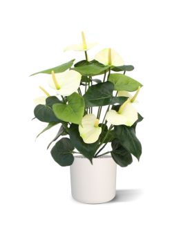 Anthurium deluxe planta artificial 50cm - creme