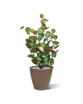 Aralia Polyscias planta artificial 60cm