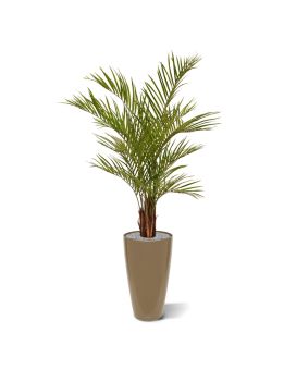 Areca palma artificial de luxo 150cm