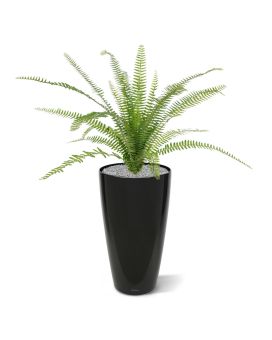 Asplenium Artificial Asplenium Farn bouquet 75 cm