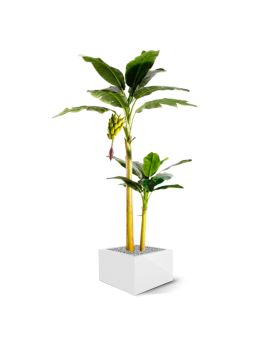 Bananeira árvore artificial 240cm