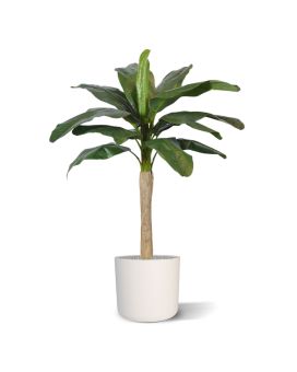 Promoção de planta artificial de banana 120cm