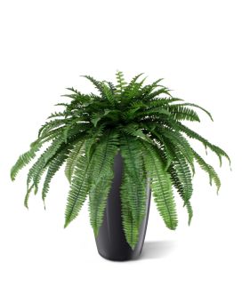 Boston Fern Giant D95 planta artificial