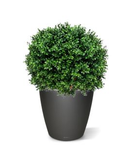 Bola de madeira de caixa de luxo planta artificial N 60cm - resistente aos raios UV