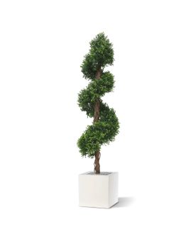 Planta artificial em espiral de luxo de madeira de caixa 170cm - resistente aos raios UV