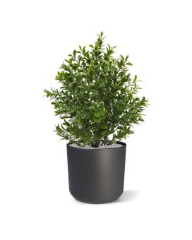 Planta artificial de madeira de caixa 30cm - resistente aos raios UV