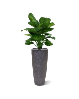 Calathea Fasciata planta artificial 80cm