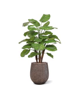 Planta artificiais Calathea Fasciata Deluxe 110cm