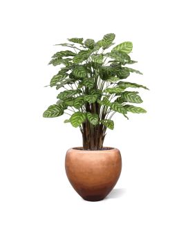 Planta artificial Calathea Makoyana Deluxe 115cm