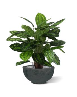 Calathea Rosea Picta planta artificial 80cm