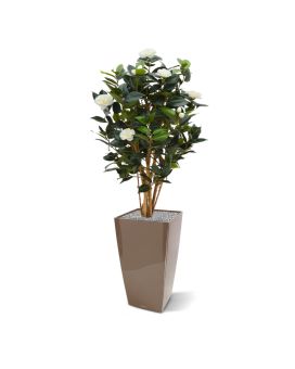 Camelia Japonica Deluxe 100 cm branco