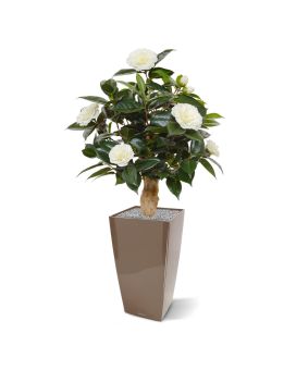 Camellia planta artificial sobre base 60cm - creme
