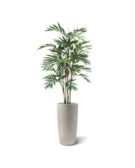 Chamaedorea palma artificial deluxe 150 m