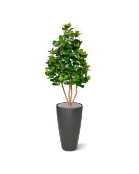 Árvore Artificial Clusia Deluxe de 120 cm
