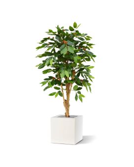 Café Arábica planta artificial de luxo 150cm N
