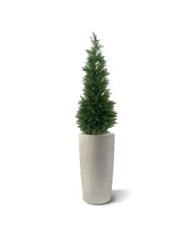 Conifer deluxe planta artificial 120cm - resistente aos raios UV