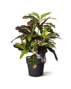Planta artificial Croton Window 50cm