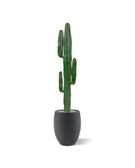 Euphorbia artificial Cactus 140cm