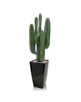 Euphorbia artificial Cactus 70cm