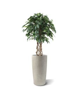 Bola de Ficus Exotica Artificial 125 cm