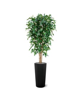 Ficha Artificial Exotica Deluxe 180 cm verde