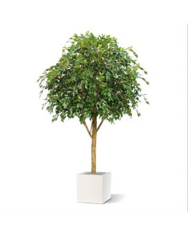 Ficus Exotica Gigante 290 cm artificial de árvore retardante de fogo