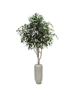 Ficus Exotica árvore artificial 330cm