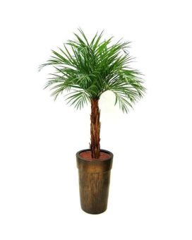 Areca palma artificial no caule 175cm