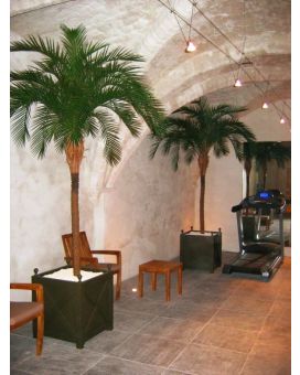 Phoenix Palm Deluxe OD 300cm
