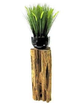 Pennisetum bouquet de rabo de rabo de raposa 50cm